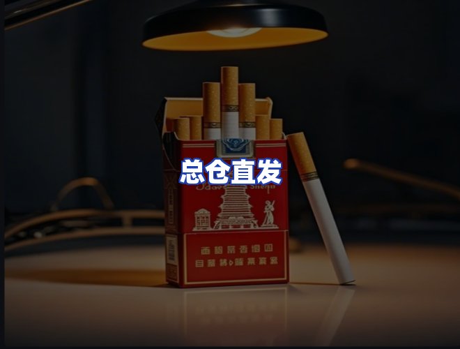 专业团队